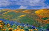 bing theme wallpaper (4) #9