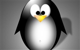 Fond d'écran Linux (1) #3
