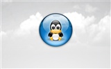 Linux 主題壁紙(一) #13