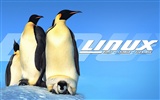 Linux Wallpaper (1) #20