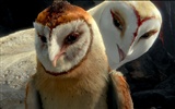 Legend of the Guardians: The Owls of Ga'Hoole 守卫者传奇(二)1