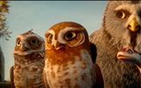 Legend of the Guardians: The Owls of Ga'Hoole 守卫者传奇(二)13