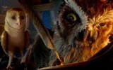Legend of the Guardians: The Owls of Ga'Hoole 守卫者传奇(二)19