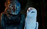 Legend of the Guardians: The Owls of Ga'Hoole 守衛者傳奇(二) #20