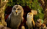 Legend of the Guardians: The Owls of Ga'Hoole 守卫者传奇(二)24