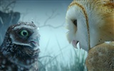 Legend of the Guardians: The Owls of Ga'Hoole 守卫者传奇(二)28