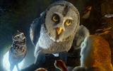 Legend of the Guardians: The Owls of Ga'Hoole 守衛者傳奇(二) #29