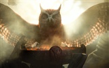 Legend of the Guardians: The Owls of Ga'Hoole 守卫者传奇(二)34