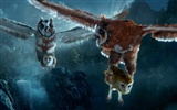 Legend of the Guardians: The Owls of Ga'Hoole 守卫者传奇(二)35