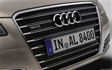 Audi A8 L W12 Quattro - 2010 奥迪36