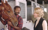 Secretariat HD wallpaper (1) #11