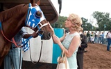 Secretariat HD wallpaper (1) #15