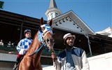 Secretariat HD wallpaper (1) #24