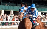 Secretariat 一代驕馬 高清壁紙(一) #25