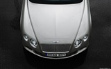 Bentley Continental GT - 2010 宾利25