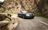 Bentley Continental GTC Speed - 2010 HD Wallpaper #3