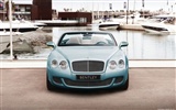 Bentley Continental GTC Speed - 2010 宾利8