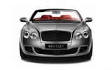 Bentley Continental GTC Speed - 2010 宾利10
