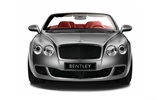 Bentley Continental GTC Speed - 2010 HD Wallpaper #10