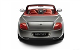 Bentley Continental GTC Speed - 2010 宾利11