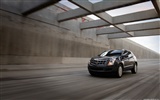 Cadillac SRX - 2011 fondos de escritorio de alta definición #2