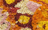 Colorful flowers decorate wallpaper (1) #3