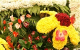 Colorful flowers decorate wallpaper (1) #10