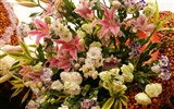 Colorful flowers decorate wallpaper (1) #19