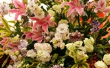 Colorful flowers decorate wallpaper (1) #20