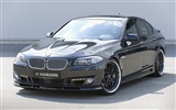 Hamann BMW 5-série F10 - 2010 HD tapetu #2