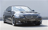 Hamann BMW 5-série F10 - 2010 HD tapetu #3