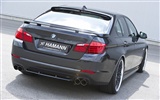 Hamann BMW serie 5 F10 - 2010 fondos de escritorio de alta definición #5