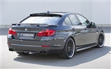 ハマンニューBMW 5シリーズの[F10]キー - 2010のHDの壁紙 #6