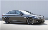 ハマンニューBMW 5シリーズの[F10]キー - 2010のHDの壁紙 #7