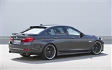 Hamann BMW 5-série F10 - 2010 HD tapetu #9