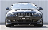 ハマンニューBMW 5シリーズの[F10]キー - 2010のHDの壁紙 #13