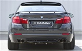 Hamann BMW 5-série F10 - 2010 HD tapetu #14