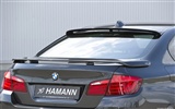Hamann BMW 5-série F10 - 2010 HD tapetu #17