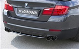 ハマンニューBMW 5シリーズの[F10]キー - 2010のHDの壁紙 #18