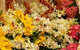 Colorful flowers decorate wallpaper (4) #17