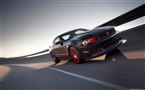 Ford Mustang Boss 302 Laguna Seca - 2012 HD Wallpaper #3