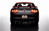 Ford Mustang Boss 302 Laguna Seca - 2012 福特14