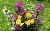 Widescreen-Wallpaper Blumen close-up (31) #13