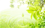 Green and Natural Wallpaper (3) #5