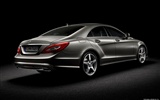 Mercedes-Benz CLS-class - 2010 奔馳 #2