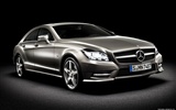 Mercedes-Benz CLS-class - 2010 奔驰4