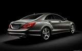 Mercedes-Benz Classe CLS - 2010 fonds d'écran HD #5