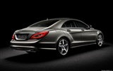 Mercedes-Benz CLS-class - 2010 奔驰5