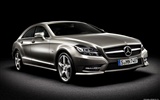 Mercedes-Benz CLS-class - 2010 奔驰6