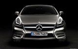 Mercedes-Benz CLS-class - 2010 奔驰7